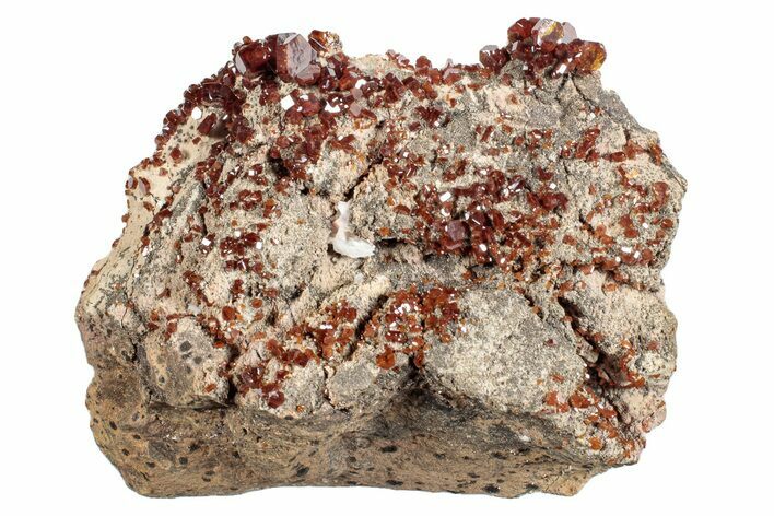 Deep Red Sparkling Vanadinite Crystal Cluster - Morocco #274873